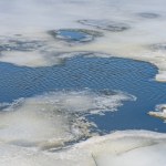 Pod 45-latkiem załamał się lód. Akcja strażaków w Olsztynie