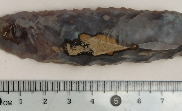 Pod Biłgorajem znaleziono narzędzia krzemienne pochodzące z 3 tys. p.n.e. 