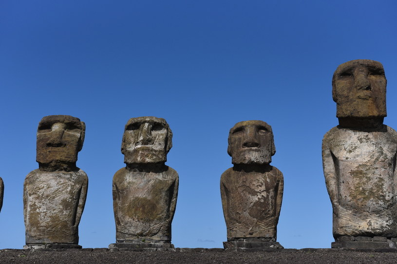 Pod jednym ze słynnych moai na wyspie Rapa Nui widnieje tablica upamiętniająca pobranie próbek potrzebnych do stworzenia rapamycyny - leku, który ułatwił przyjmowanie przeszczepów /Getty Images