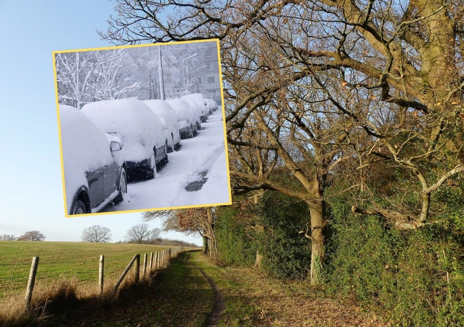 Pod koniec przyszłego tygodnia meteorolodzy zapowiadają ocieplenie /Shutterstock