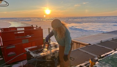Pod lodem Arktyki odkryli coś zaskakującego. To skarb dla ekosystemu
