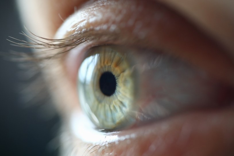 Pod nazwą "jaskra" kryje się cała grupa schorzeń oczu, które mogą prowadzić do ślepoty. Wszystko za sprawą zwiększenia ciśnienia w oku, spowodowanego gromadzącym się płynem, kiedy nagromadzenie niepożądanych białek wewnątrz oka powoduje zablokowanie kanałów odpływowych