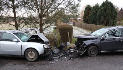 Pod wpływem narkotyków spowodował wypadek. Wytropił go policyjny pies