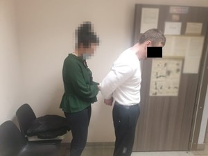 Pod wpływem narkotyków wjechał autem do zoo. "Chciałem zobaczyć lwa"