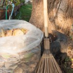 Pod żadnym pozorem nie rób tego w ogrodzie. Kary są potężne