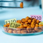 Podali myszom emulgatory. Efekty przeraziły nawet badaczy