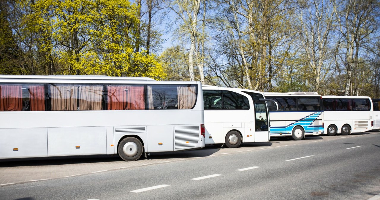 Podatek od środków transportu dotyczy pojazdów użytkowych - autobusów i aut ciężarowych /Adam Burakowski/REPORTER /Agencja SE/East News