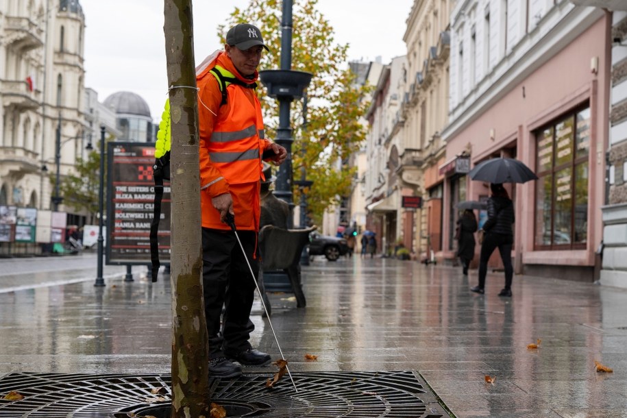 Podawanie szczepionki mikoryzowej łódzkim drzewom /lodz.pl /Materiały prasowe