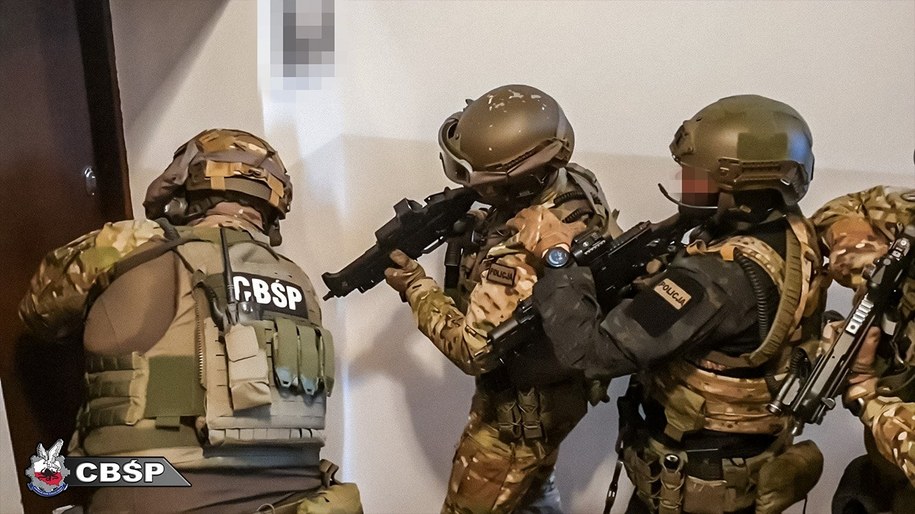 Podczas akcji policji zatrzymano 9 osób /CBŚP