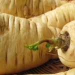 pasternak Podczas diety redukcyjnej działa cuda, poprawia trawienie i koi nerwy. Często mylimy go ze słynną "siostrą"