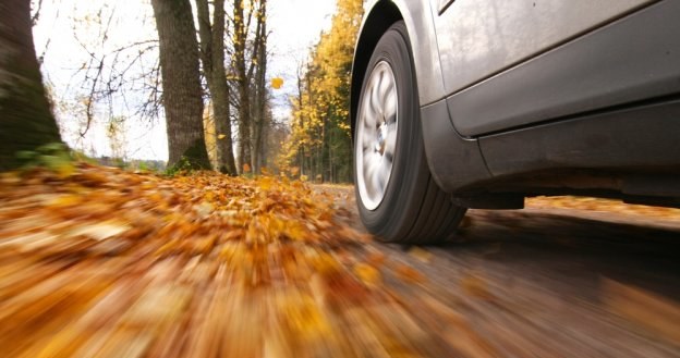 Podczas hamowania na nawierzchni pokrytej wilgotnymi liśćmi nietrudno wpaść w poślizg. /Skoda