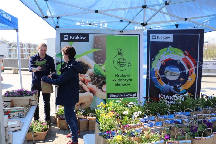 Podczas inauguracji licznika krakowianie mogli dostać sadzonki roślin w zamian za elektrośmieci /Józef Polewka /RMF FM