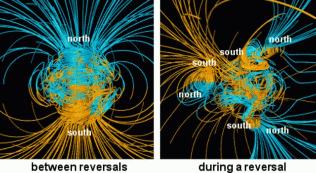 Podczas przebiegunowania Ziemia może posiadać nawet kilka północnych i południowych biegunów magnetycznych /NASA