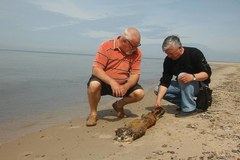 Podczas spaceru znalazł na plaży karabin maszynowy z czasów II wojny światowej