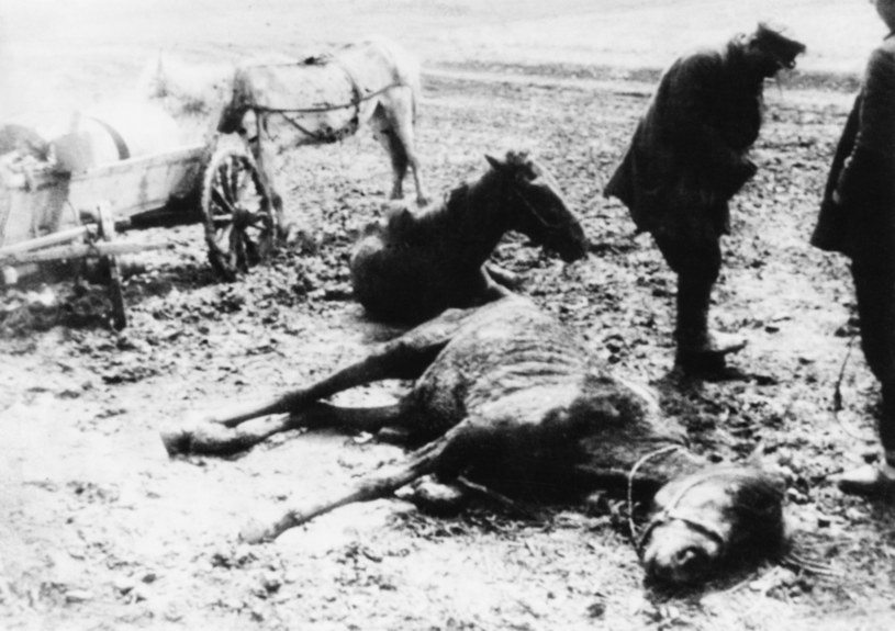 Podczas "wielkiego głodu" zginęło nawet kilka milionów Ukraińców / Daily Express/Hulton Archive /Getty Images