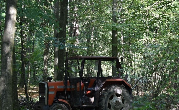 Podczas wycinki w lesie zginął 82-latek