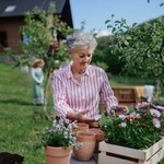Podczas zimnej Zośki zrób to. Szczęście popłynie do ciebie strumieniami