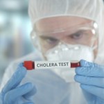 cholera Podejrzenie cholery w Szczecinie. Są ostateczne wyniki badań