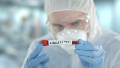 Podejrzenie cholery w Szczecinie. Są ostateczne wyniki badań