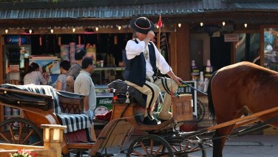 Podhale za Nawrockim. Tak głosowali tatrzańscy górale