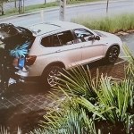 Podjeżdżała luksusowym bmw i kradła egzotyczne rośliny. Tak się tłumaczy