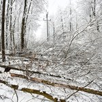 Podkarpacie: Około 700 mieszkańców nie ma prądu 