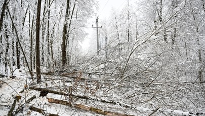 Podkarpacie: Około 700 mieszkańców nie ma prądu 