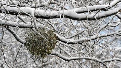 Podkarpacie pod śniegiem