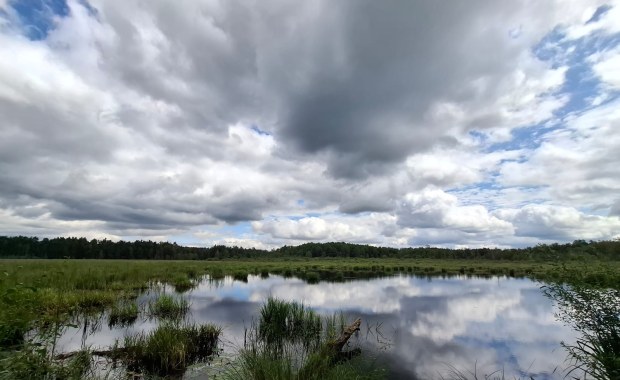 Podkarpacie wzbogaca się o kolejne rezerwaty przyrody