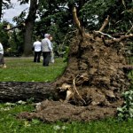 Podkarpackie: 85 interwencji strażaków po nawałnicach