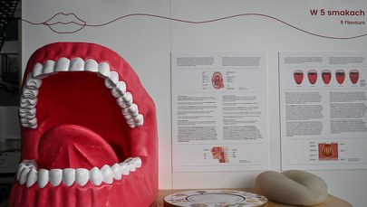 Podkarpackie Centrum Nauki „Łukasiewicz”. Już niebawem otwarcie