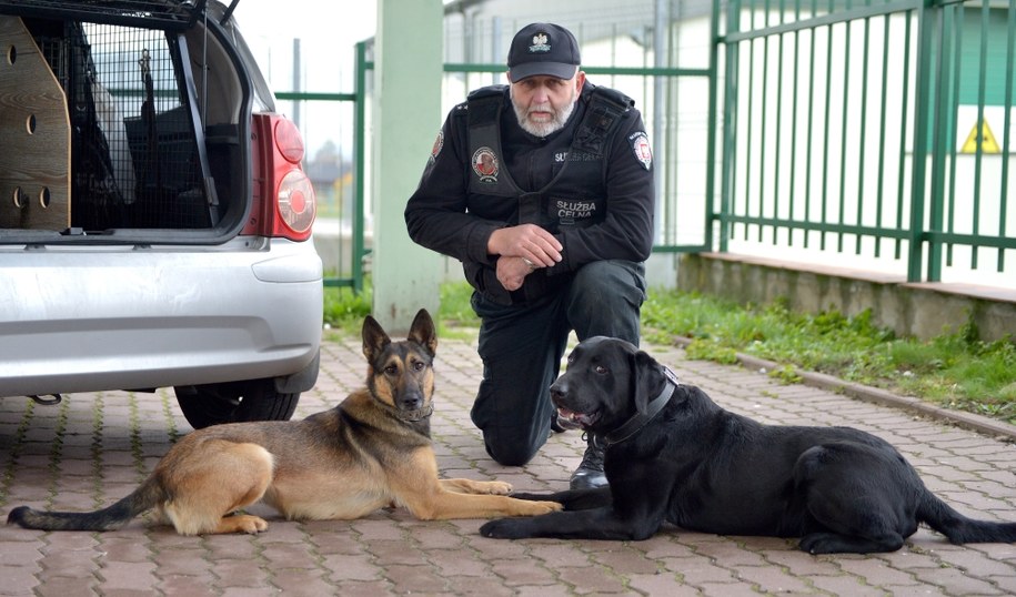 Podkomisarz celny Dariusz Szworak z psami Questo i Verą /Darek Delmanowicz /PAP