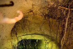 Podkop pod granicą polsko-białoruską. Galeria