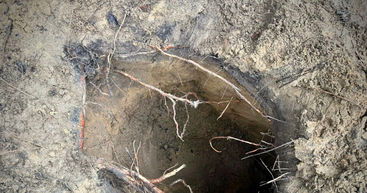 Podkop pod granicą polsko-białoruską. Galeria