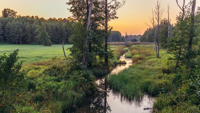 Podlasie bez turystyki. Przedsiębiorcy apelują do polityków