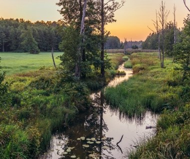 Podlasie bez turystyki. Przedsiębiorcy apelują do polityków