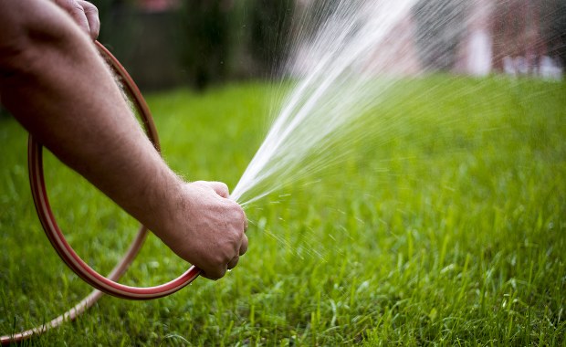 Podlewaj ogródek wcześnie rano. Pij wodę co godzinę