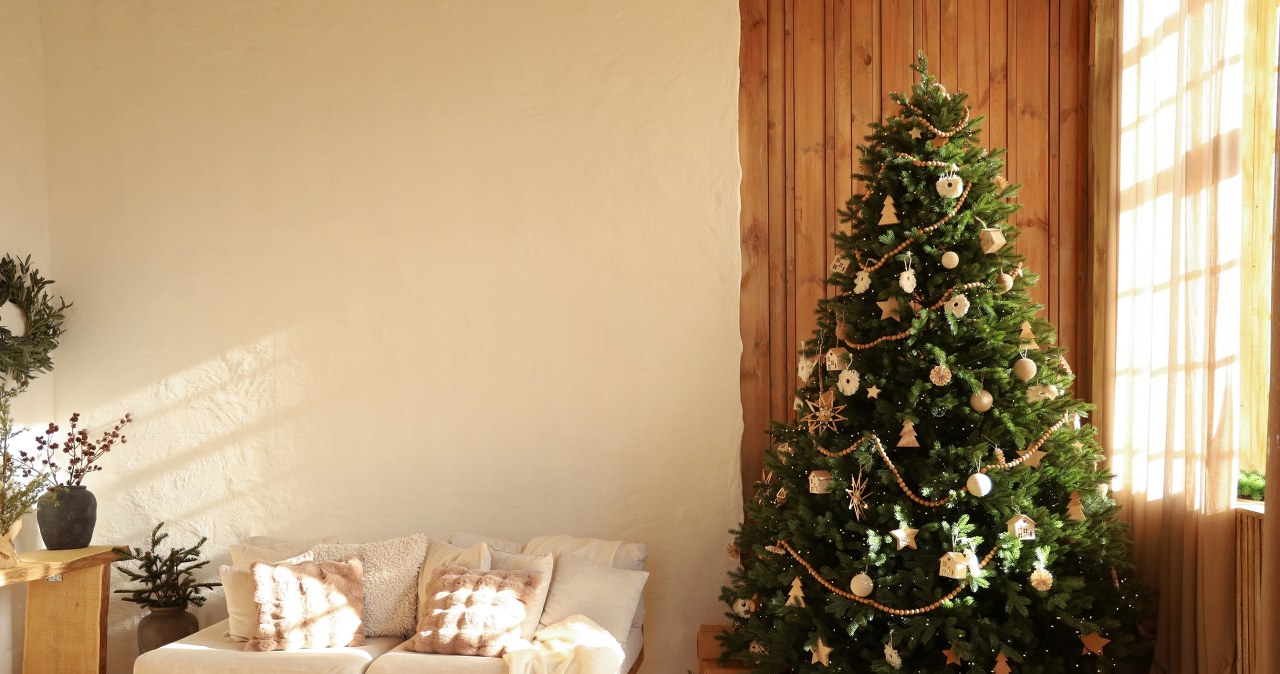 Podlewana nią choinka będzie piękną ozdobą wnętrza do lutego /Pixel