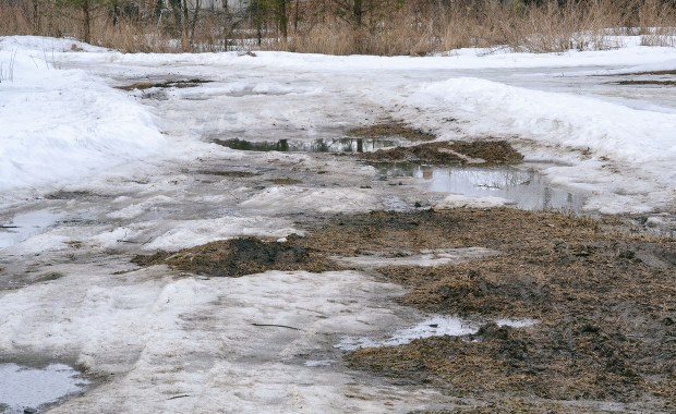 Podnoszą się poziomy wody w rzekach w Śląskiem