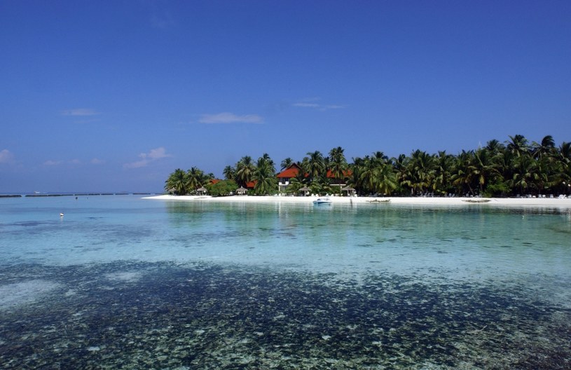 Podnoszący się poziom wód oceanicznych może doprowadzić do całkowitego zatopienia rajskich Malediwów... /AFP