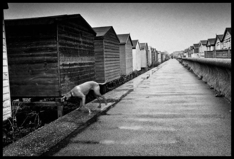 Podobnie jak czerwone budki telefoniczne, czarne taksówki i piętrowe autobusy, budki na plażach symbolizują oryginalność Wyspiarzy. /Bogdan Frymorgen /RMF FM