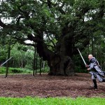 Robin Hood Podobno chronił się w nim Robin Hood. Umarł prastary, legendarny dąb