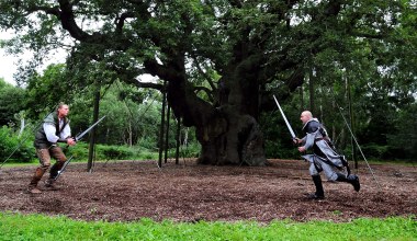 Podobno chronił się w nim Robin Hood. Umarł prastary, legendarny dąb