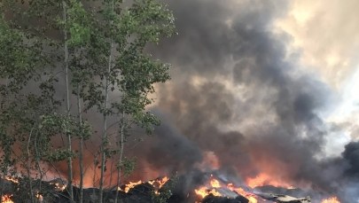 Podpalacze z Trzebini aresztowani