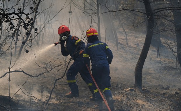 Podpalała, aby flirtować ze strażakami. 44-latka skazana