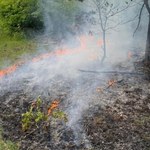 Podpalił las i samochód. Grozi mu bardzo surowa kara