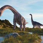 Podręczniki trzeba pisać na nowo. Komar z bursztynu załatwił dinozaury