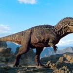 Podręczniki trzeba pisać na nowo. Tyranozaur polował inaczej