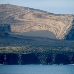 Podręczniki trzeba pisać podręczniki od nowa. Życie wyłoniło się z ognia