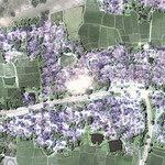 "Podręcznikowy przykład ludobójstwa". Szokujące zdjęcia satelitarne z Birmy